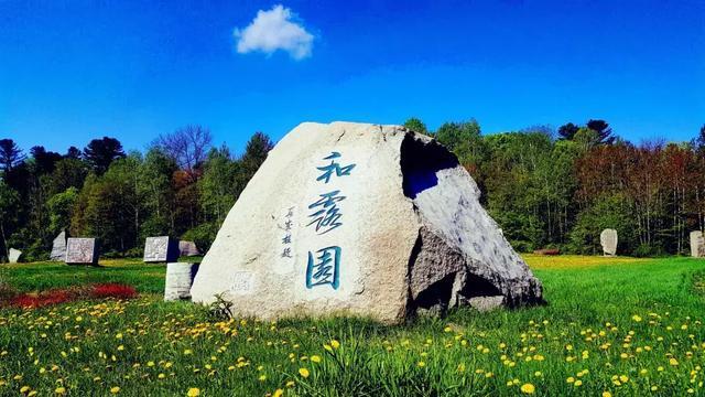 美式橄榄球大赛